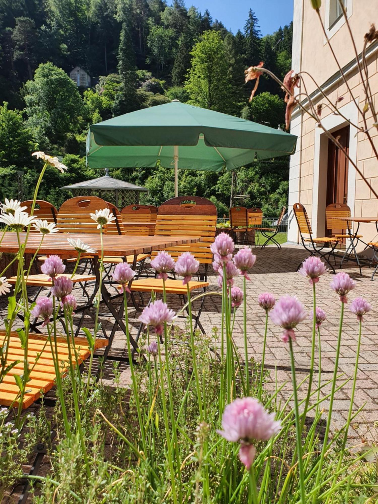 Hotel Garni Dekorahaus Bad Schandau Luaran gambar